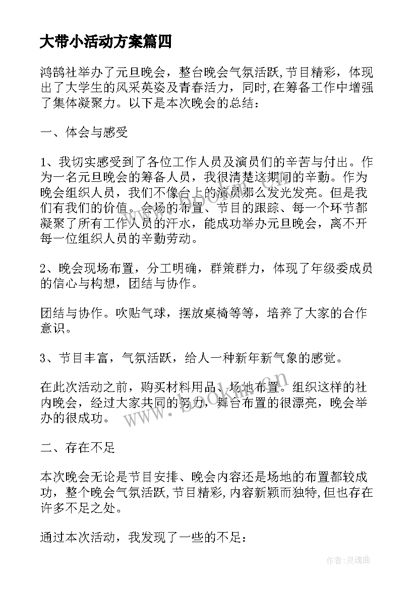 大带小活动方案(实用5篇)