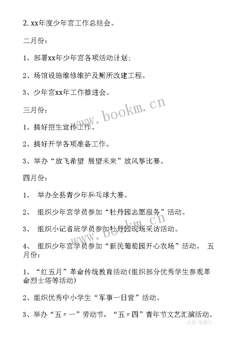 最新乡村少年宫工作计划(模板5篇)