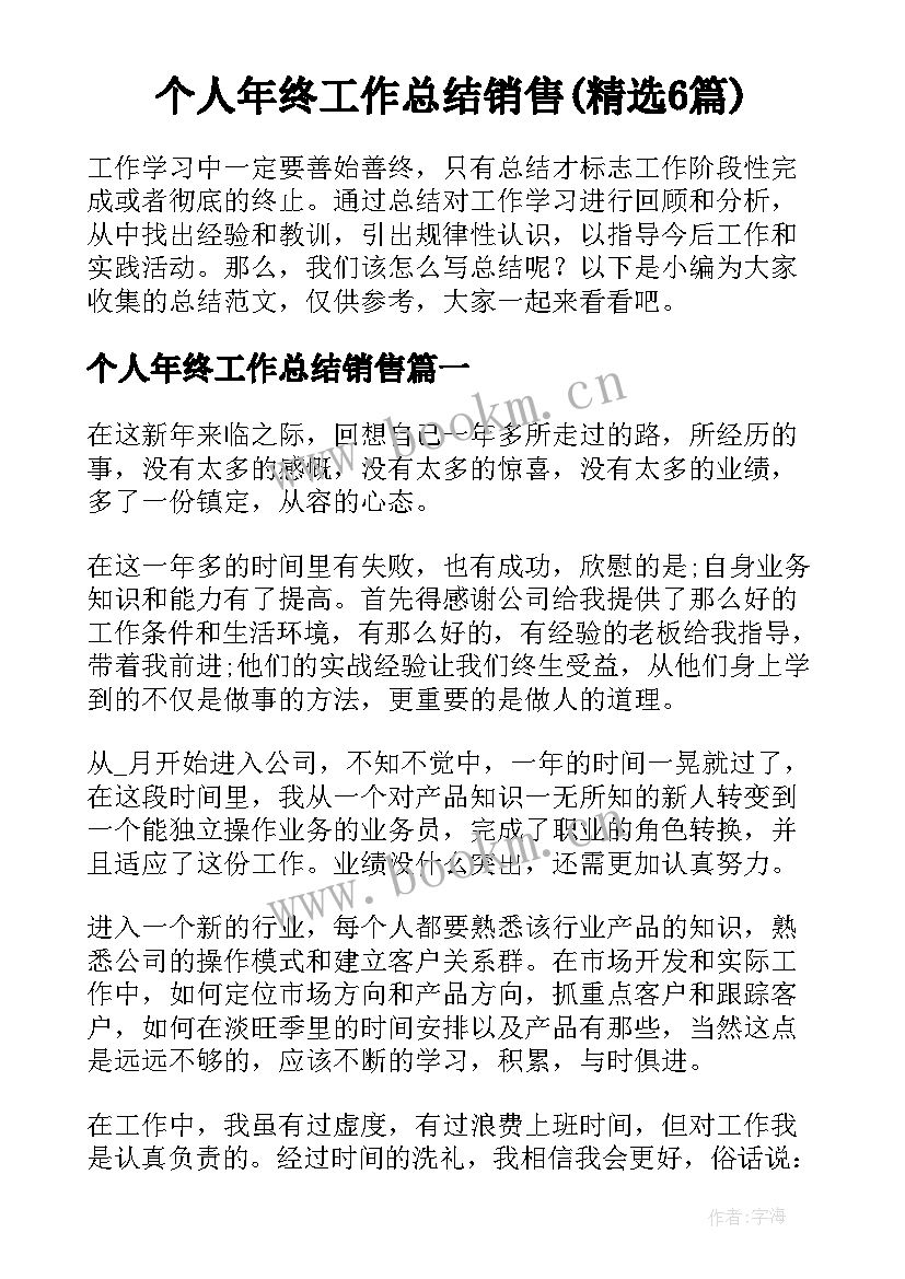 个人年终工作总结销售(精选6篇)