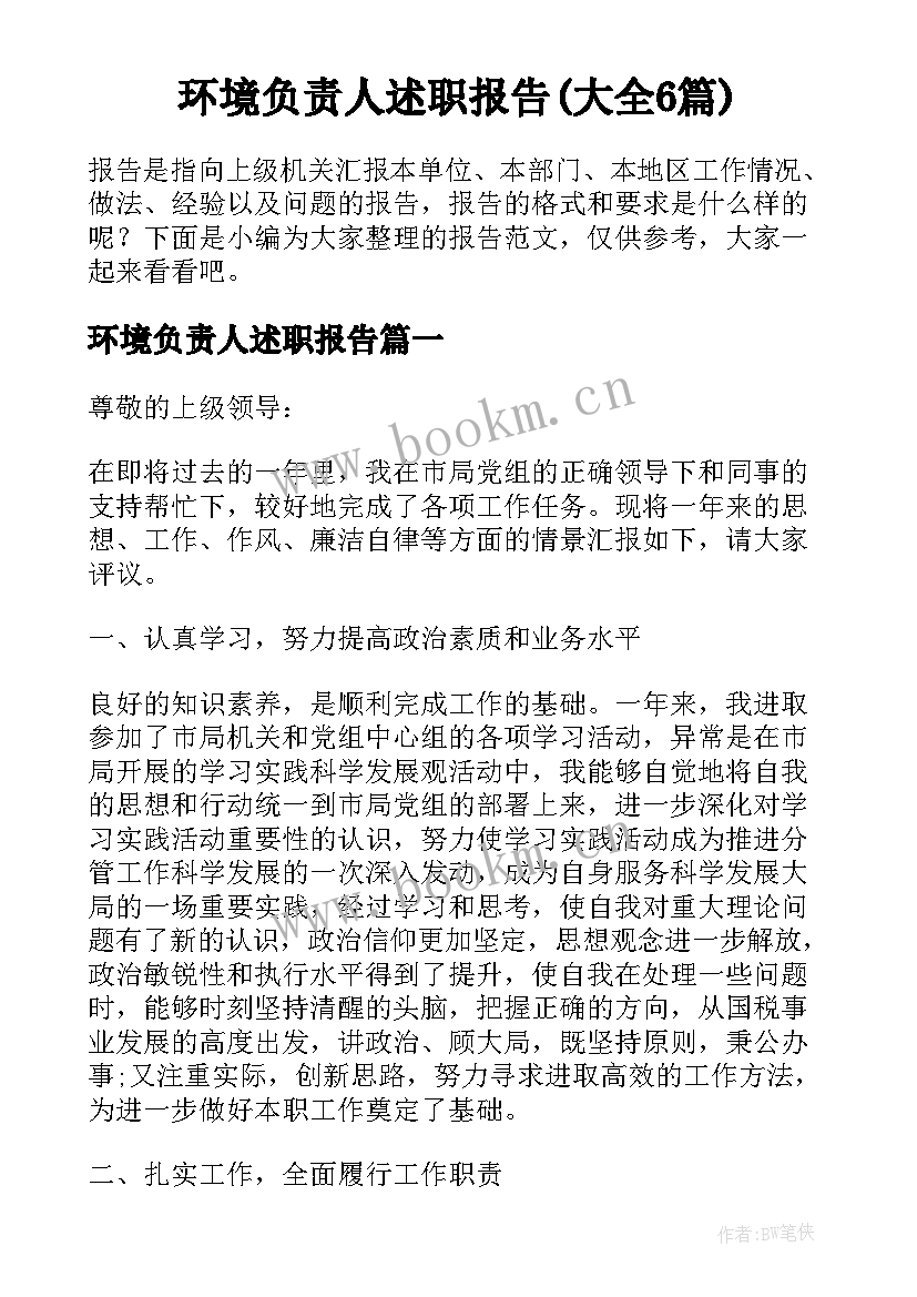 环境负责人述职报告(大全6篇)