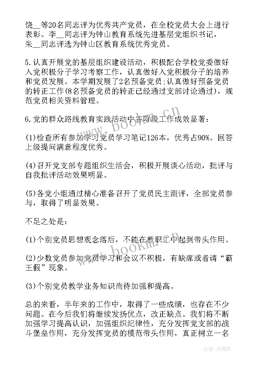 对学校党支部建设的意见建议 党支部建设工作报告总结(通用5篇)