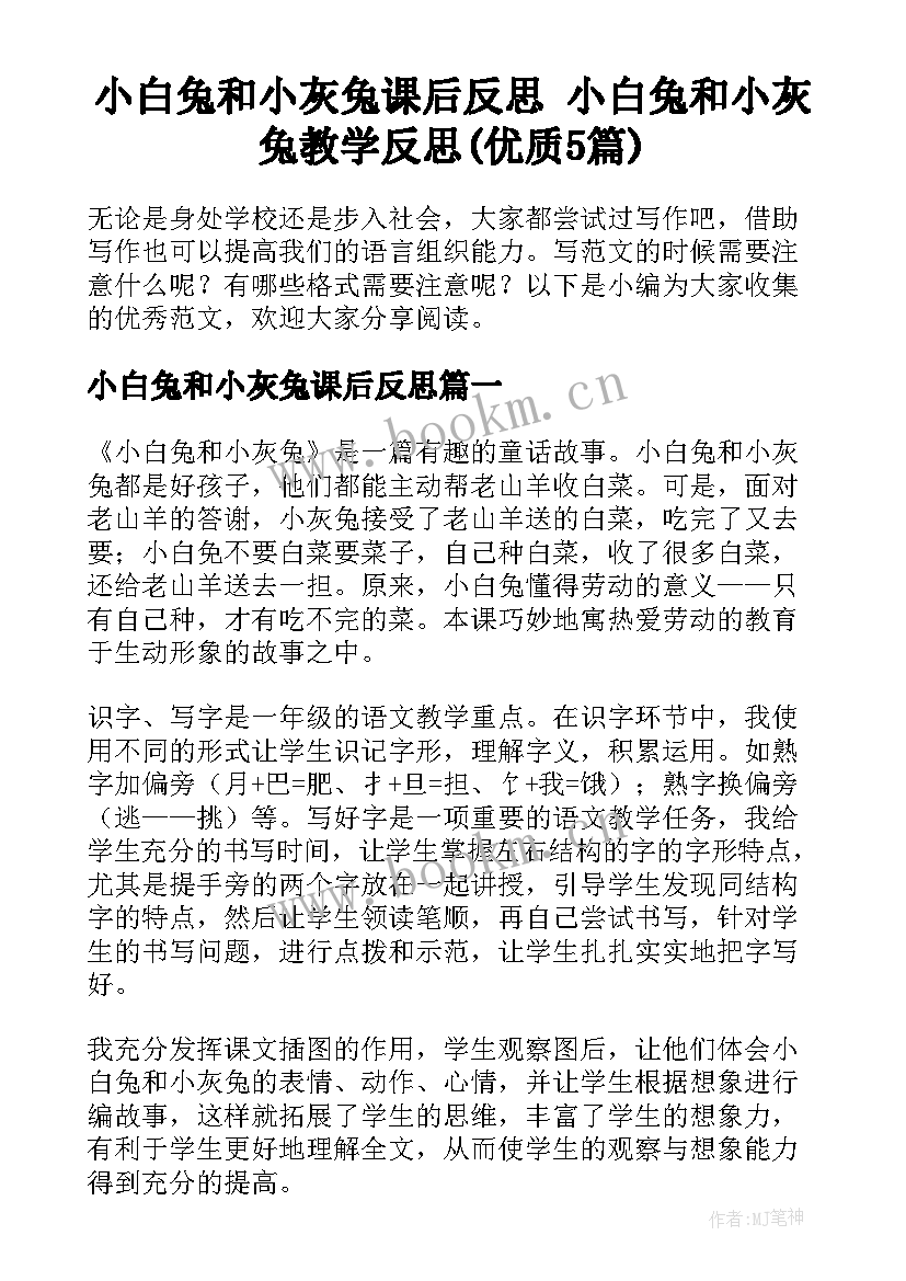 小白兔和小灰兔课后反思 小白兔和小灰兔教学反思(优质5篇)