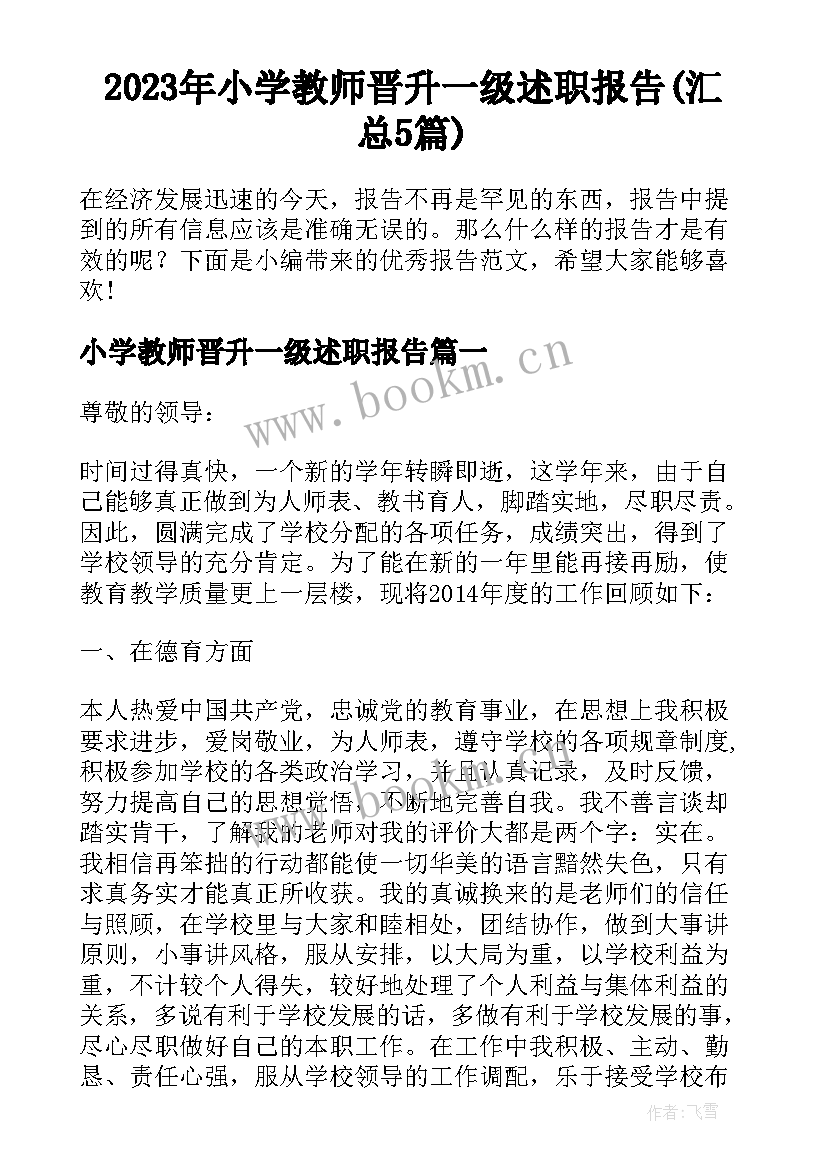 2023年小学教师晋升一级述职报告(汇总5篇)