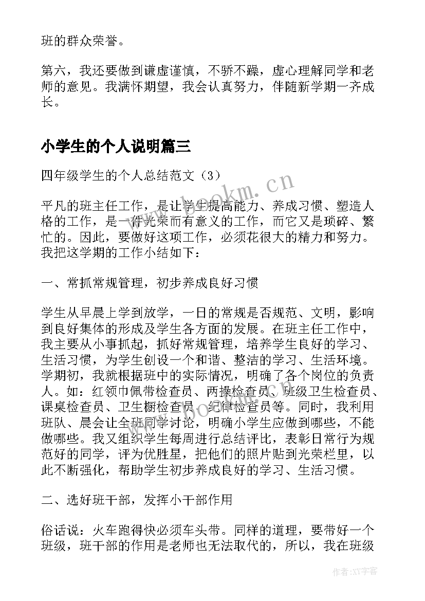 最新小学生的个人说明 大学生的个人总结(汇总5篇)