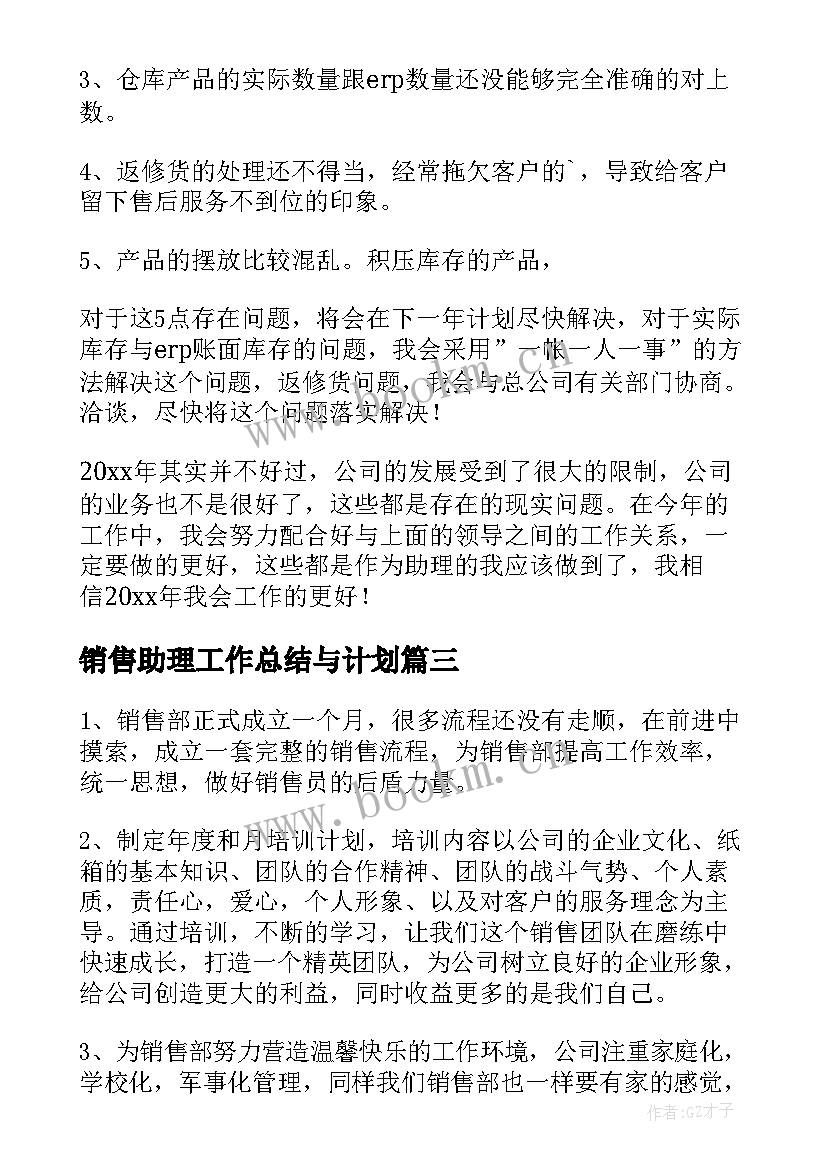 最新销售助理工作总结与计划 销售助理工作计划(模板8篇)