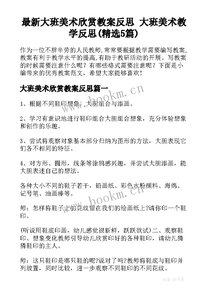 最新大班美术欣赏教案反思 大班美术教学反思(精选5篇)