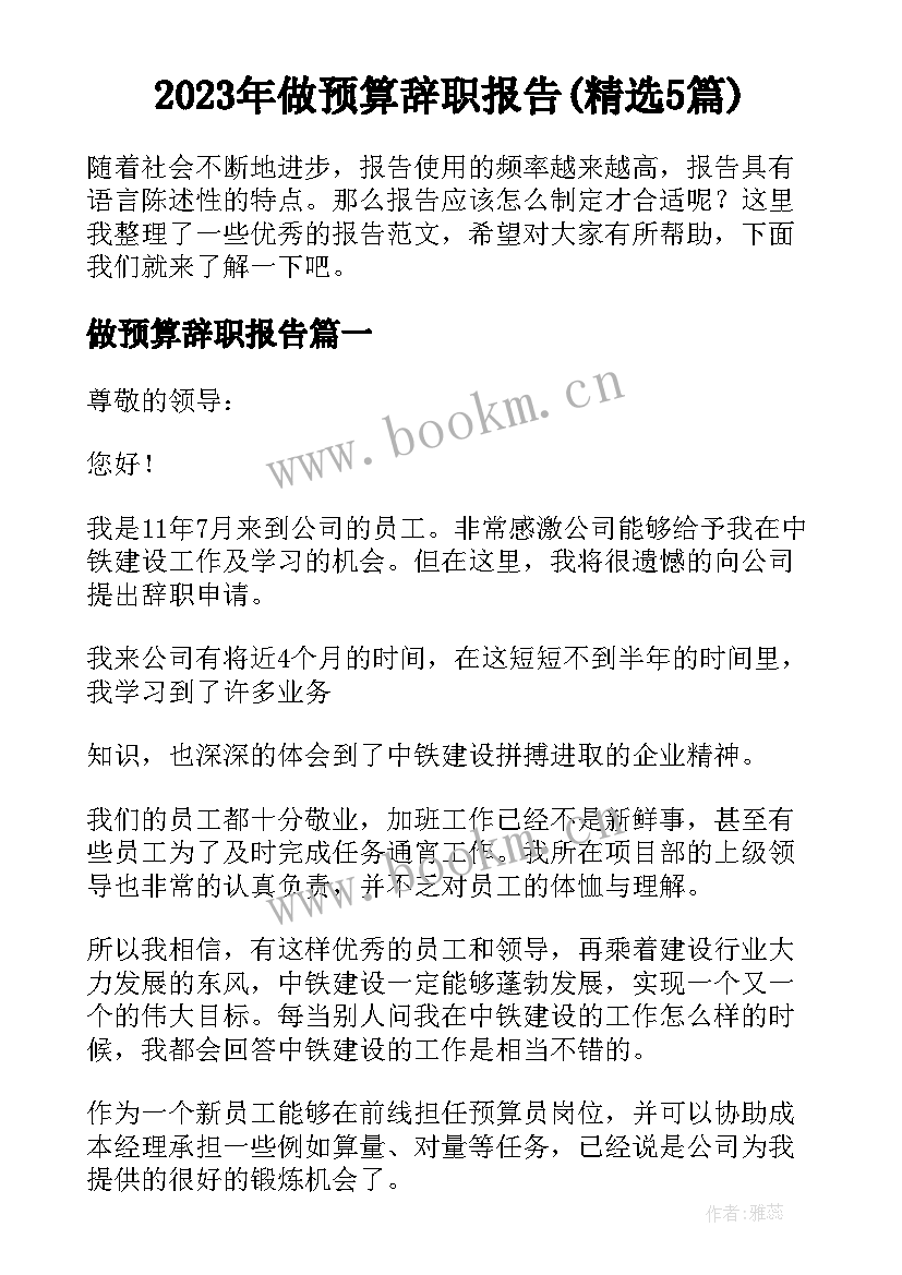 2023年做预算辞职报告(精选5篇)