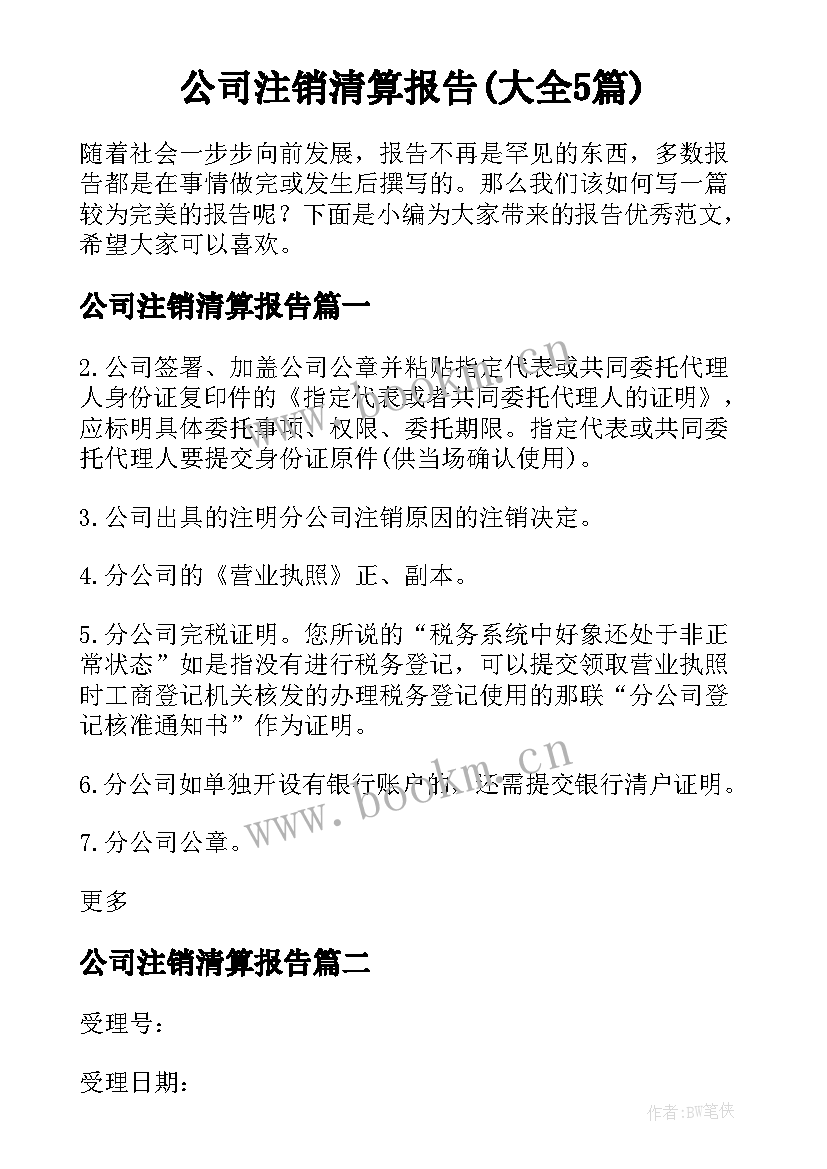 公司注销清算报告(大全5篇)