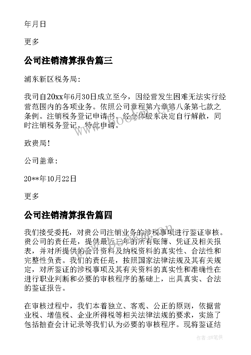 公司注销清算报告(大全5篇)