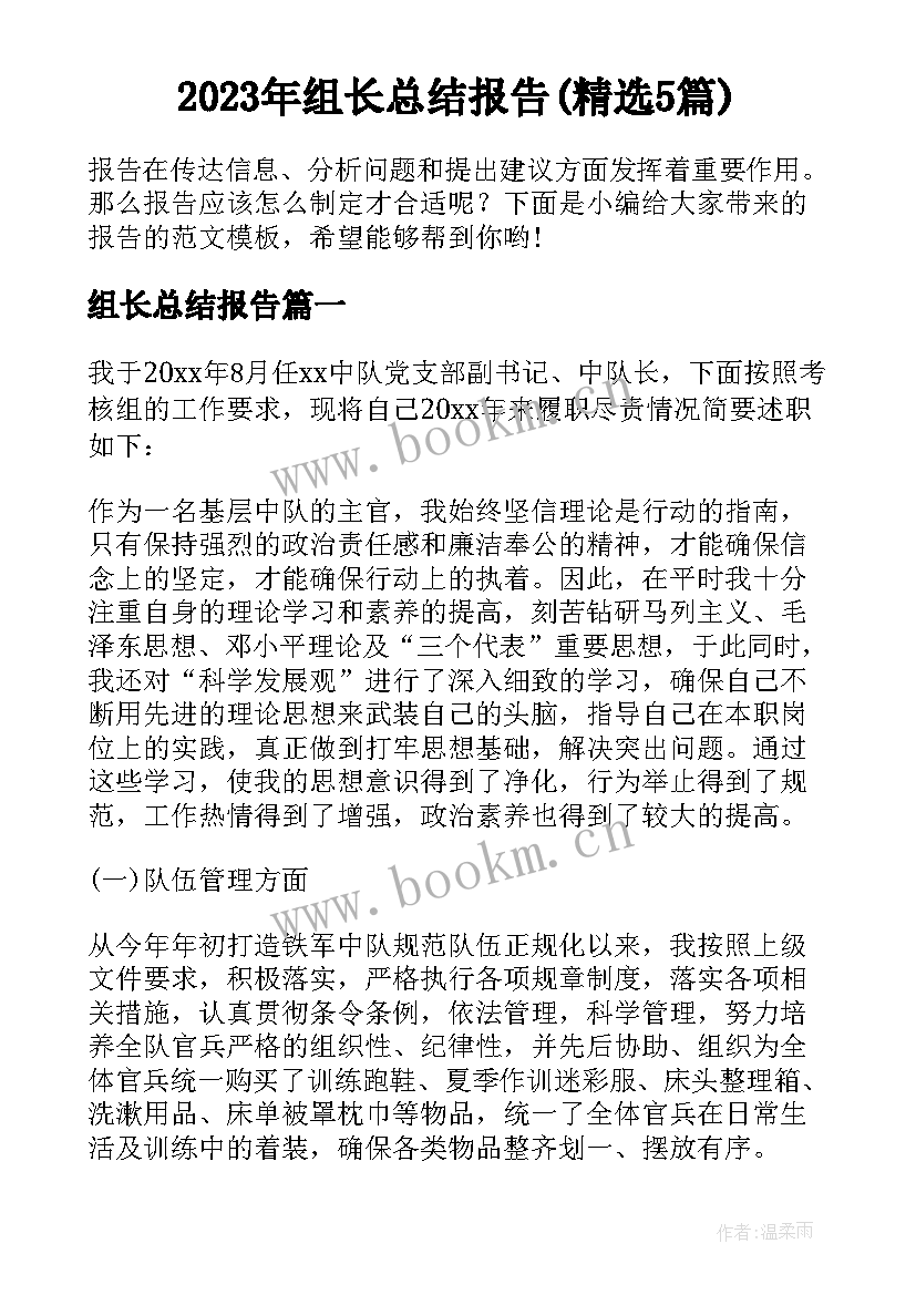 2023年组长总结报告(精选5篇)