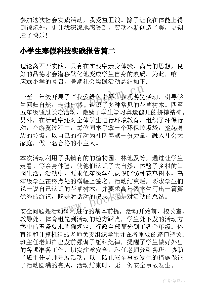 小学生寒假科技实践报告(实用5篇)