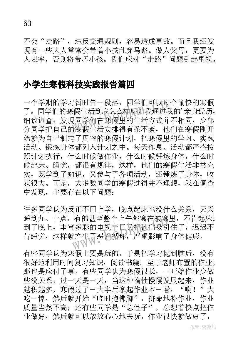 小学生寒假科技实践报告(实用5篇)