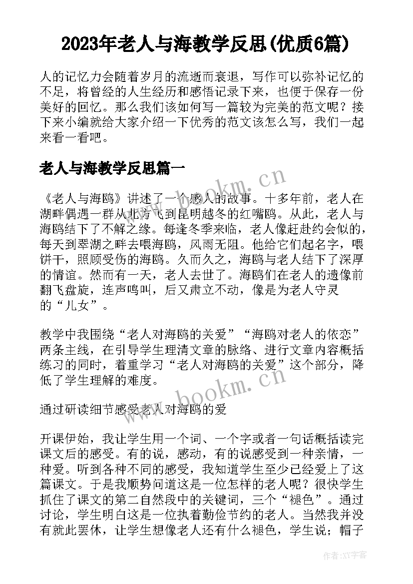 2023年老人与海教学反思(优质6篇)