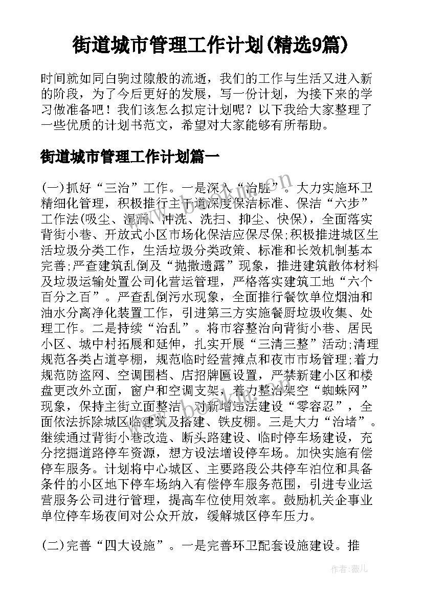 街道城市管理工作计划(精选9篇)