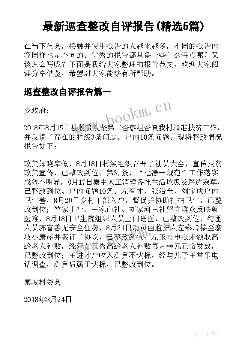 最新巡查整改自评报告(精选5篇)