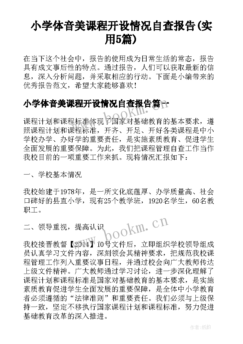 小学体音美课程开设情况自查报告(实用5篇)