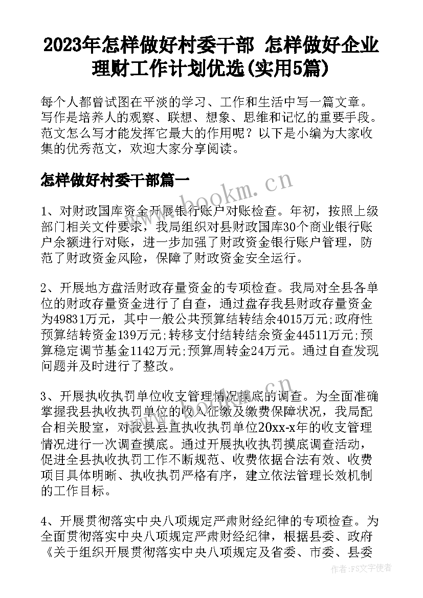 2023年怎样做好村委干部 怎样做好企业理财工作计划优选(实用5篇)