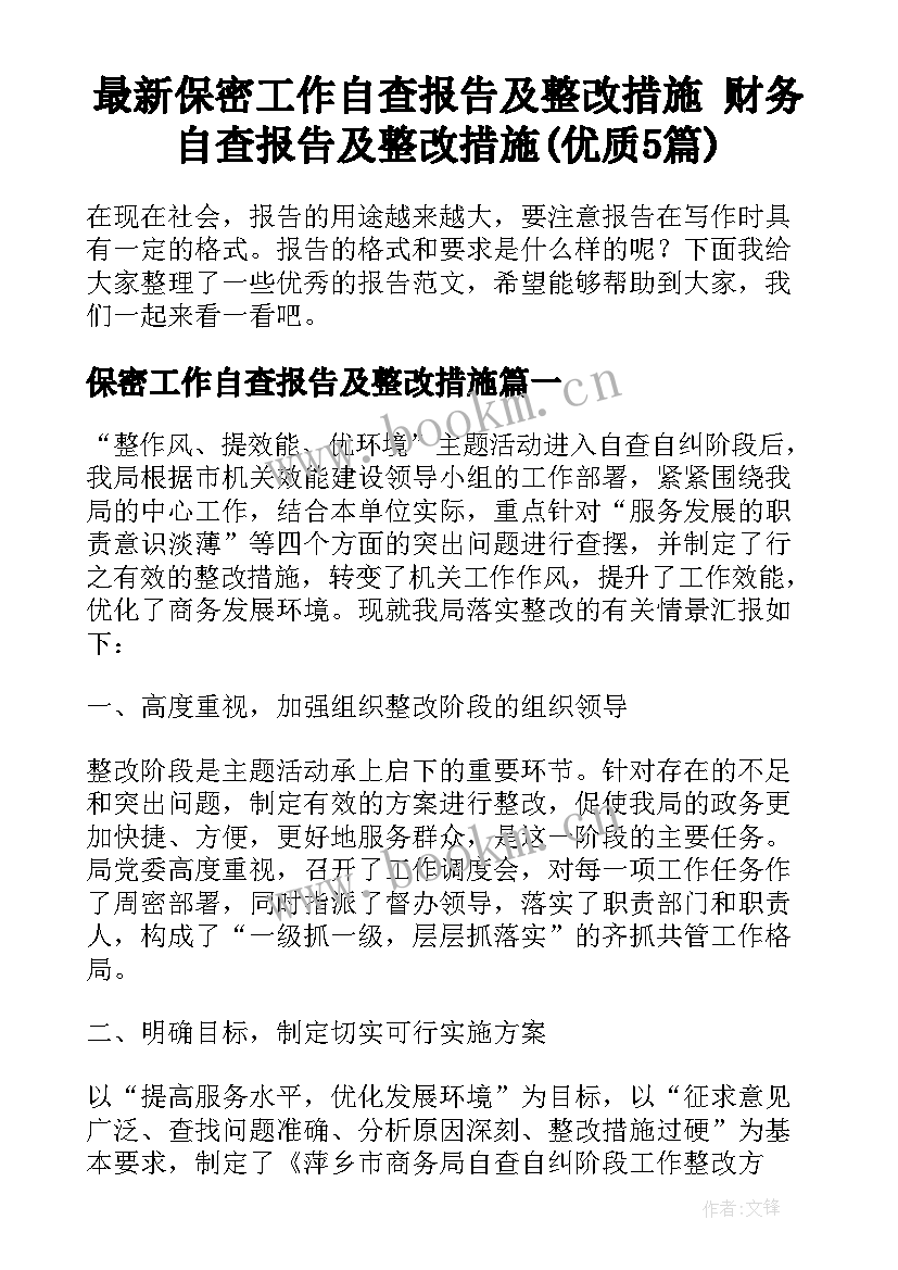 最新保密工作自查报告及整改措施 财务自查报告及整改措施(优质5篇)