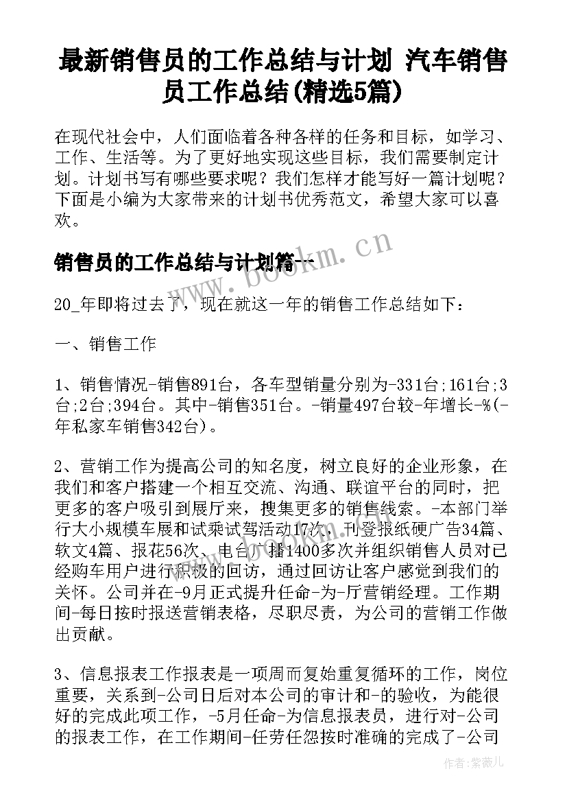 最新销售员的工作总结与计划 汽车销售员工作总结(精选5篇)