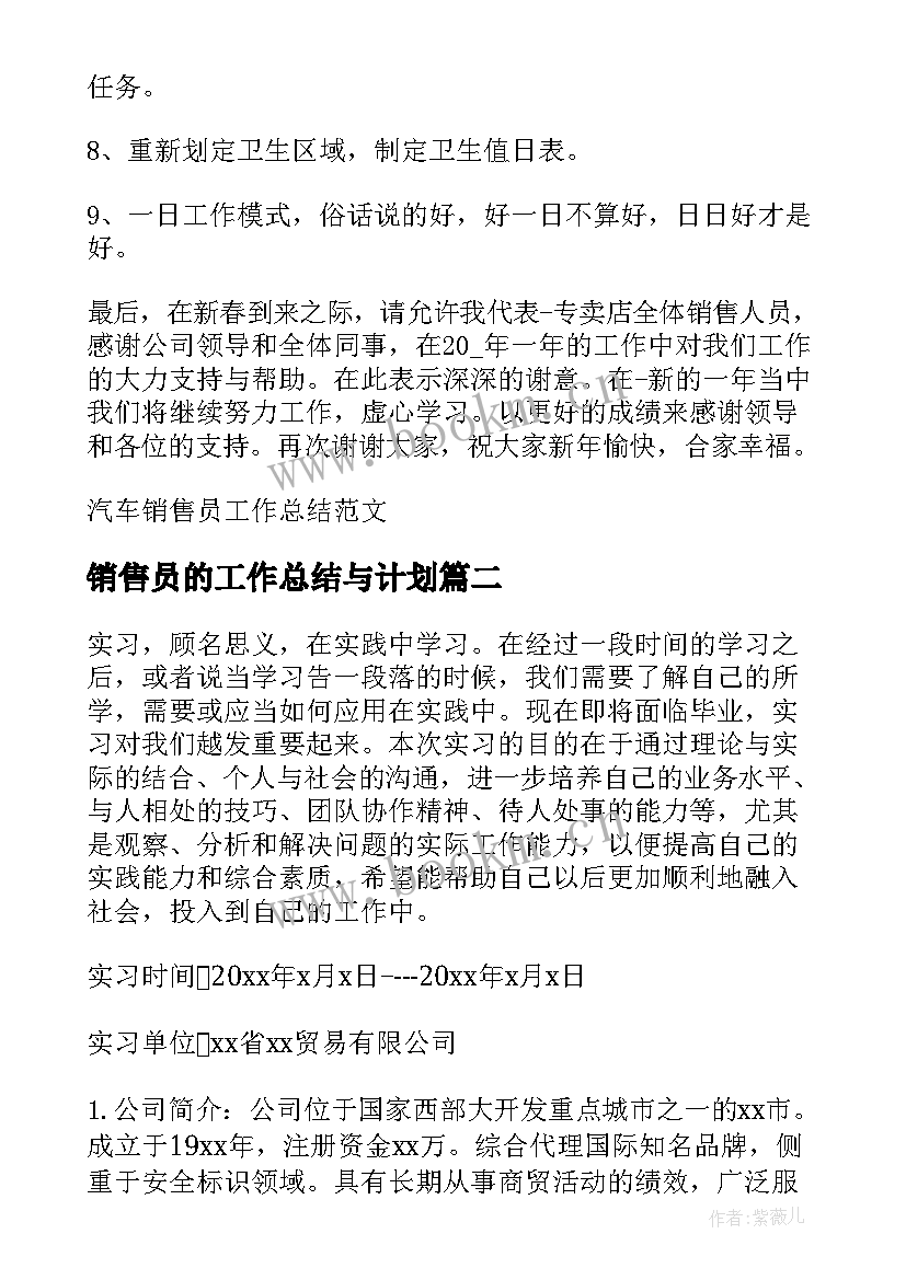 最新销售员的工作总结与计划 汽车销售员工作总结(精选5篇)