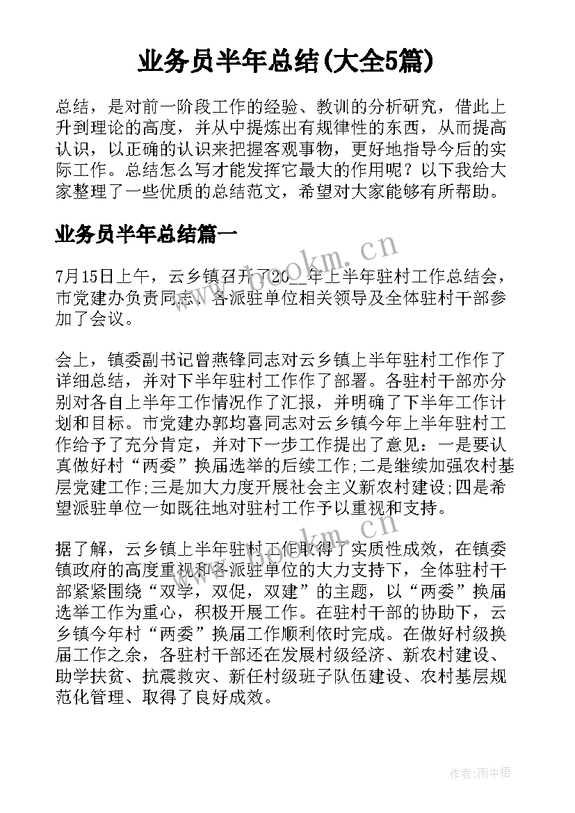 业务员半年总结(大全5篇)