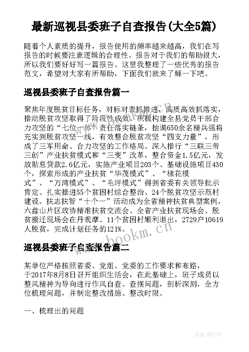 最新巡视县委班子自查报告(大全5篇)