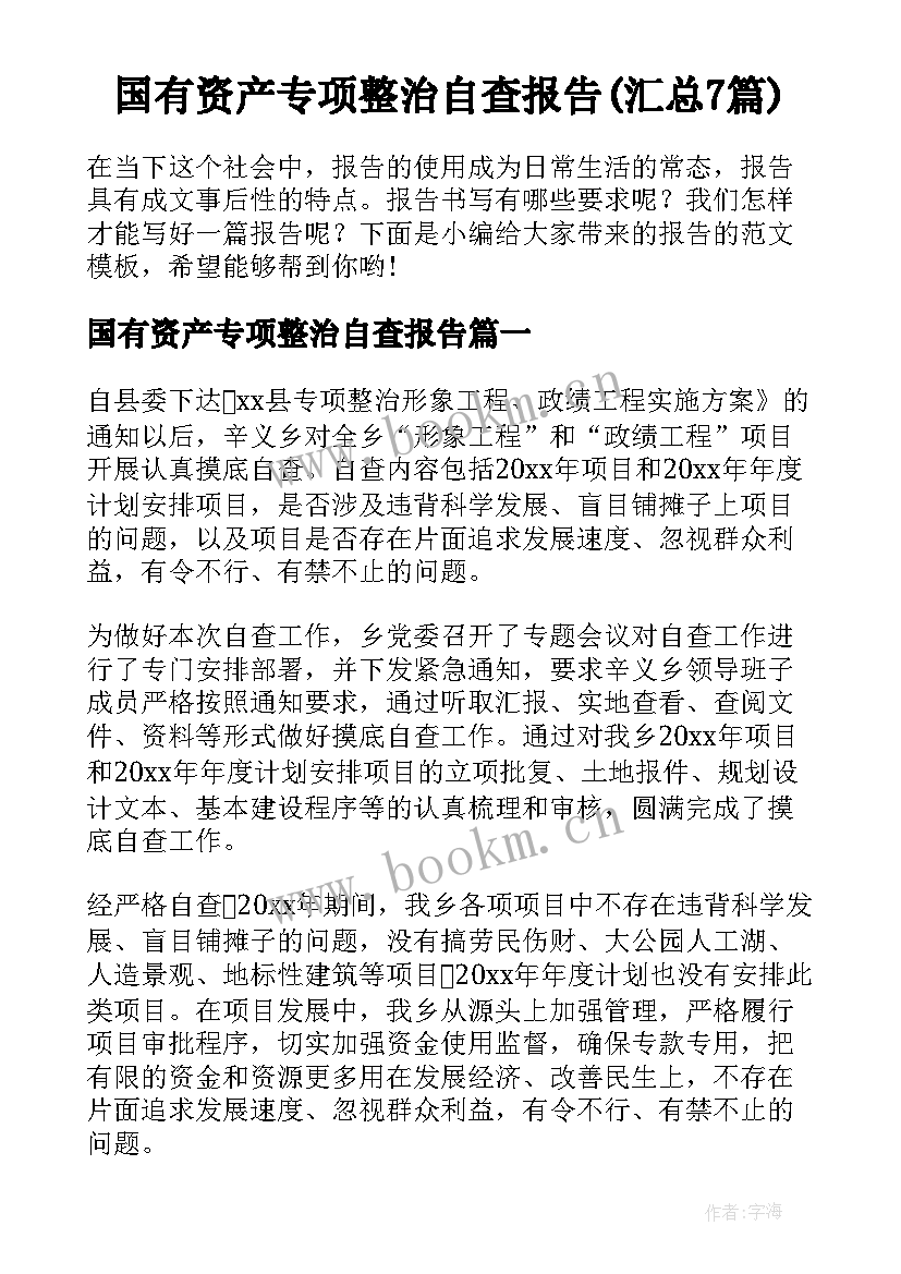 国有资产专项整治自查报告(汇总7篇)