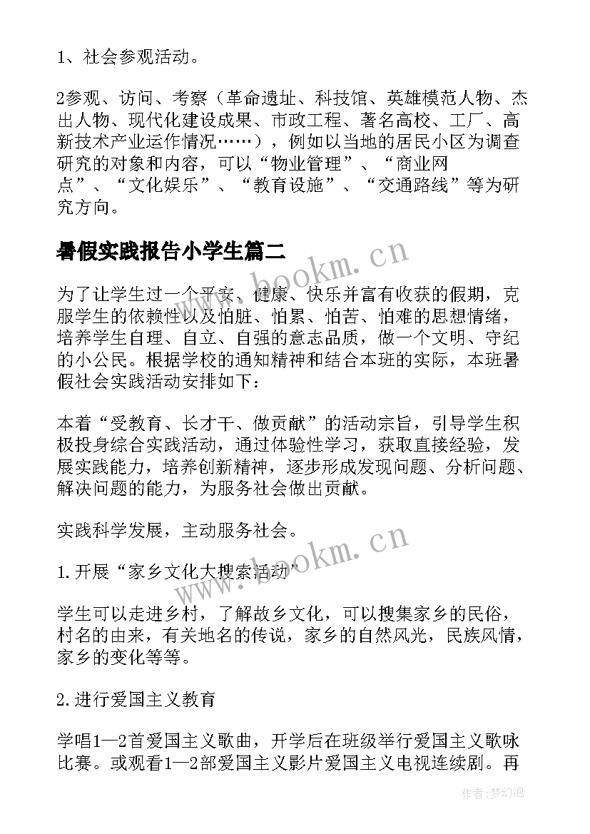 2023年暑假实践报告小学生(模板5篇)