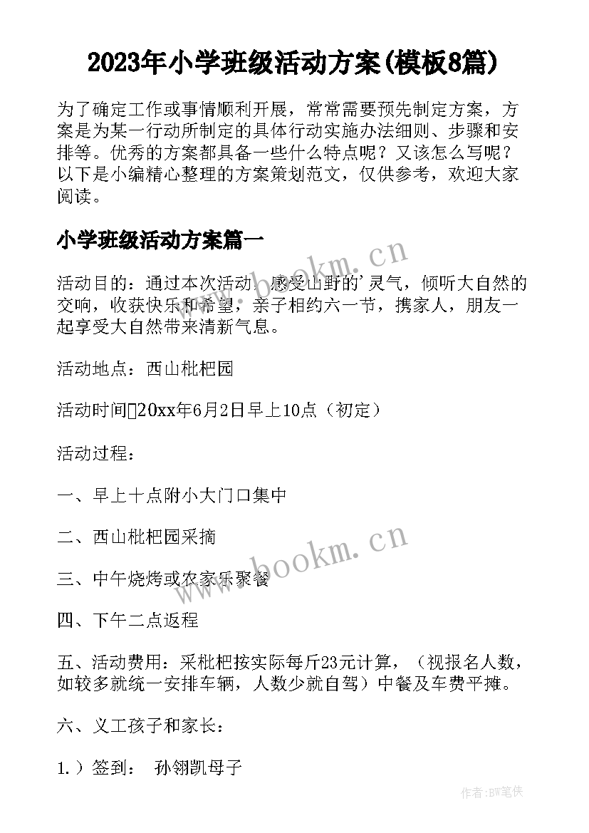 2023年小学班级活动方案(模板8篇)