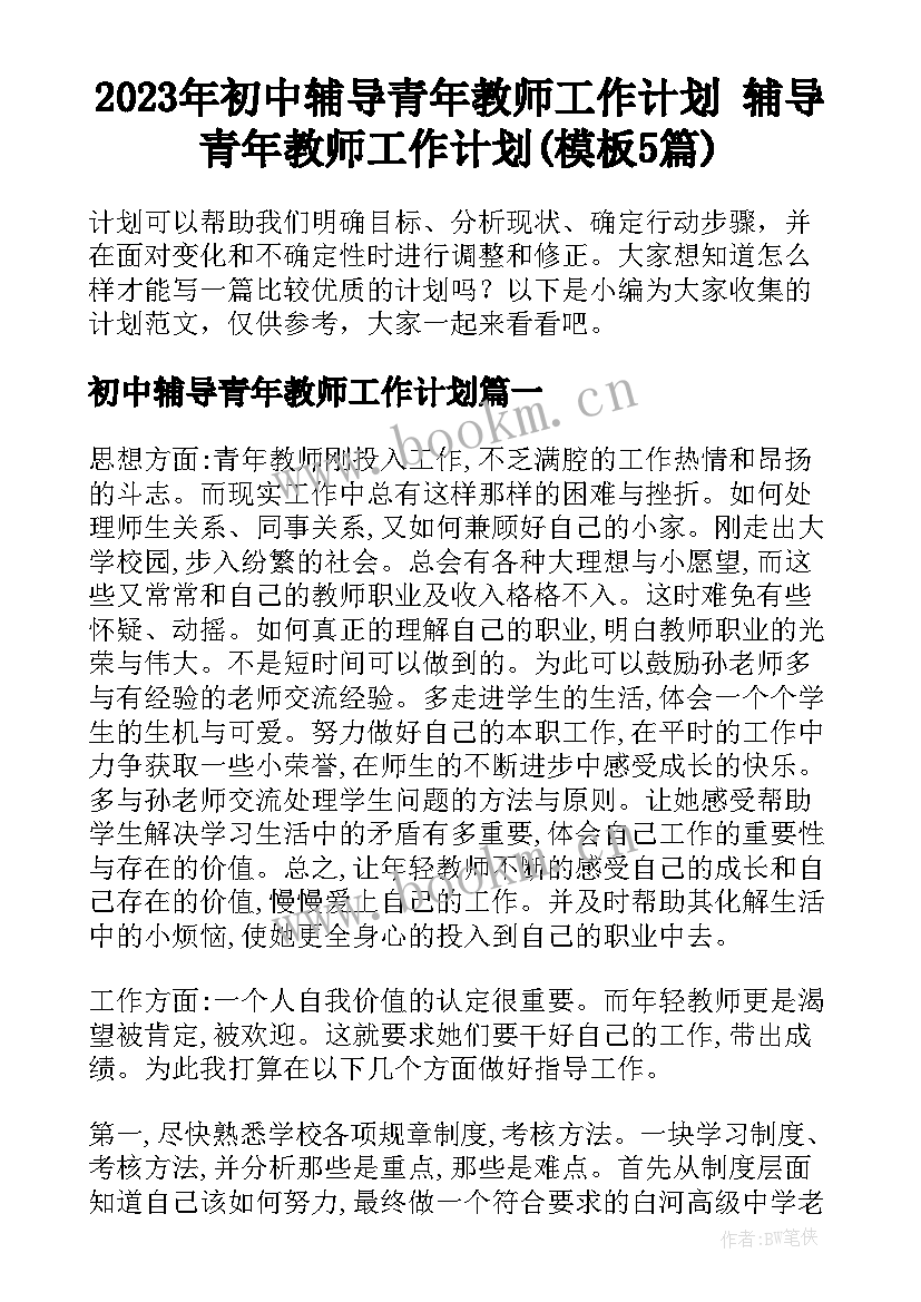 2023年初中辅导青年教师工作计划 辅导青年教师工作计划(模板5篇)