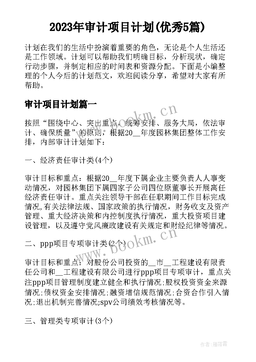 2023年审计项目计划(优秀5篇)