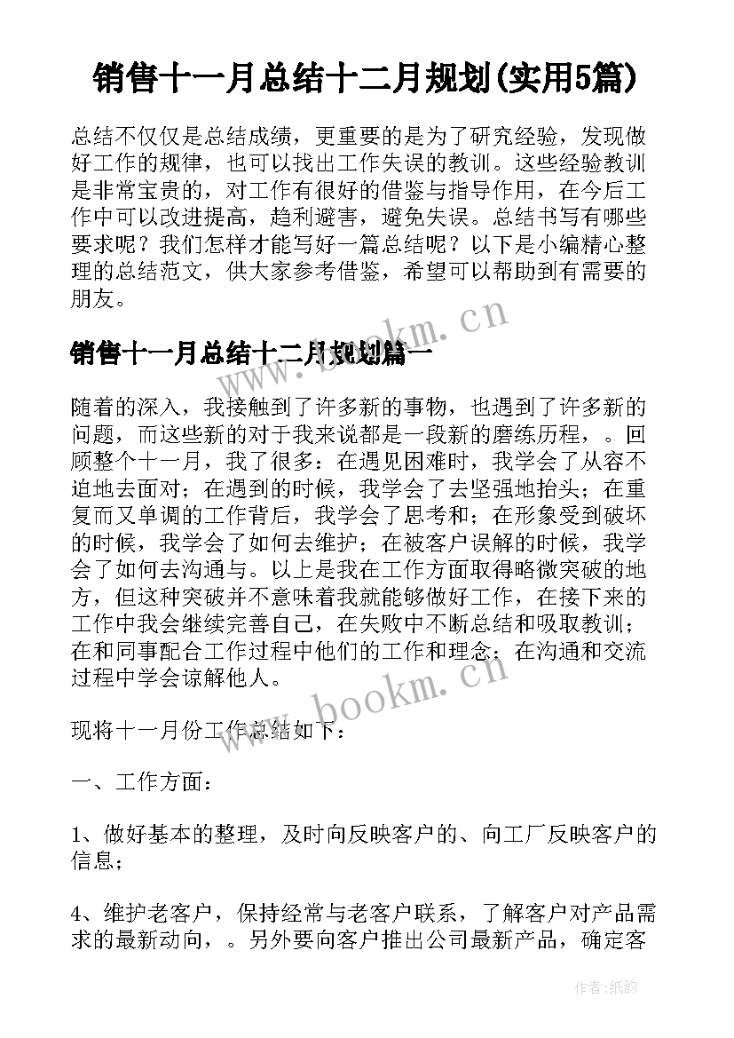 销售十一月总结十二月规划(实用5篇)