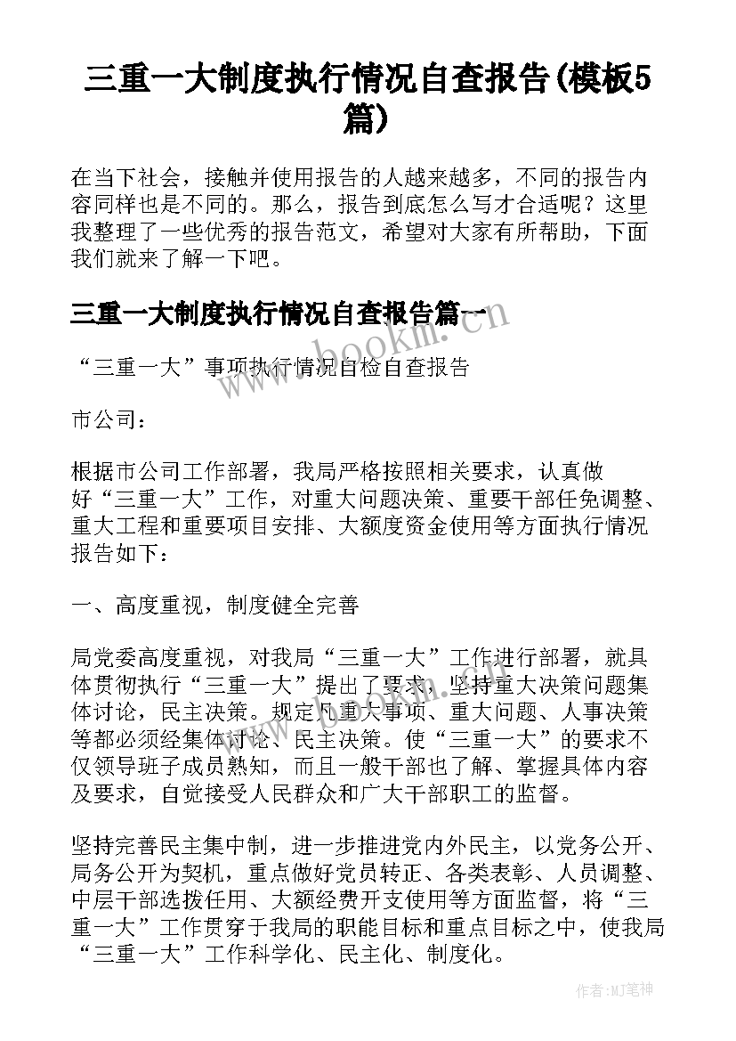 三重一大制度执行情况自查报告(模板5篇)