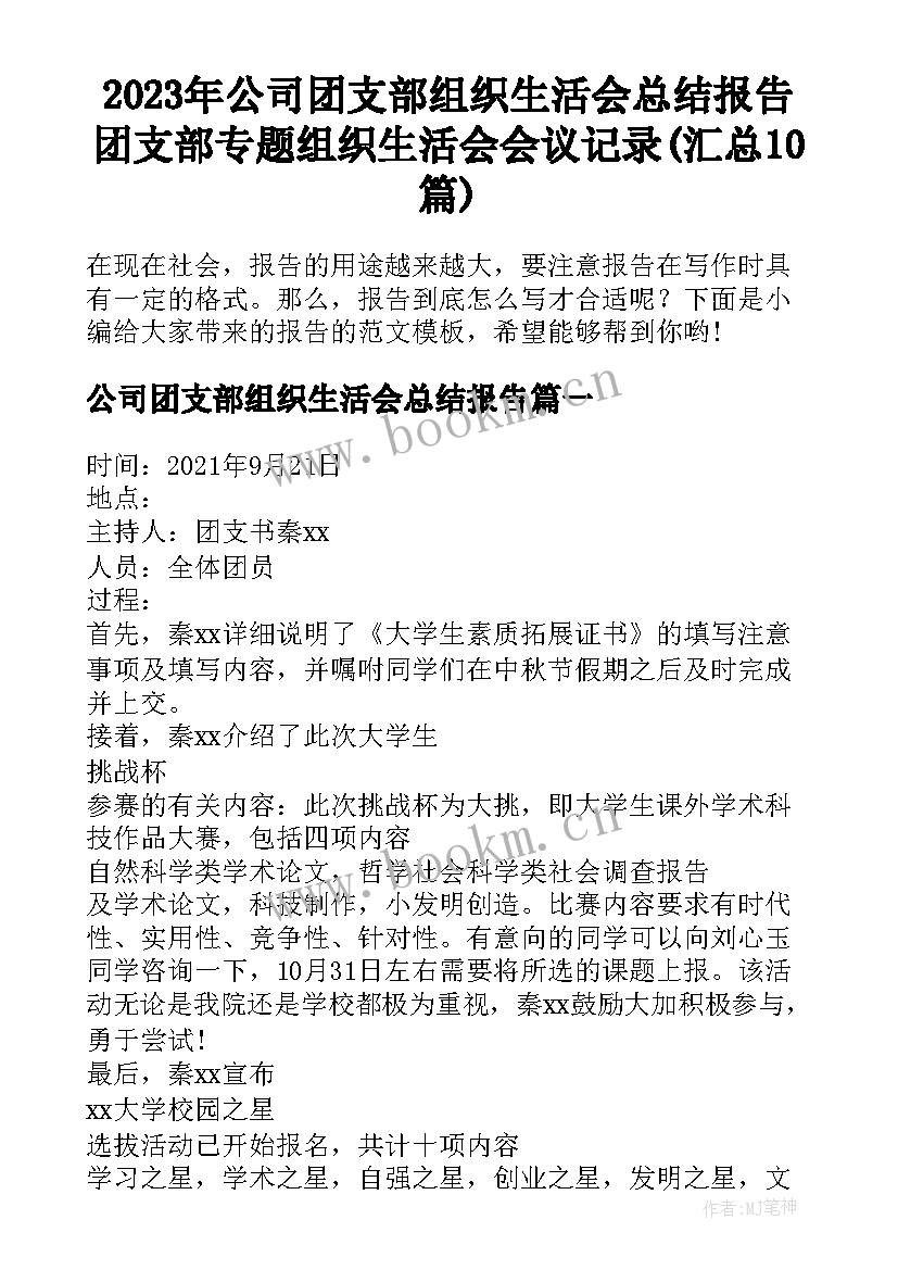 2023年公司团支部组织生活会总结报告 团支部专题组织生活会会议记录(汇总10篇)