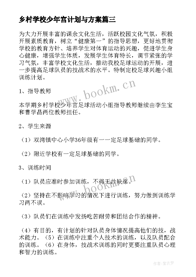 乡村学校少年宫计划与方案 乡村学校少年宫活动计划(精选5篇)