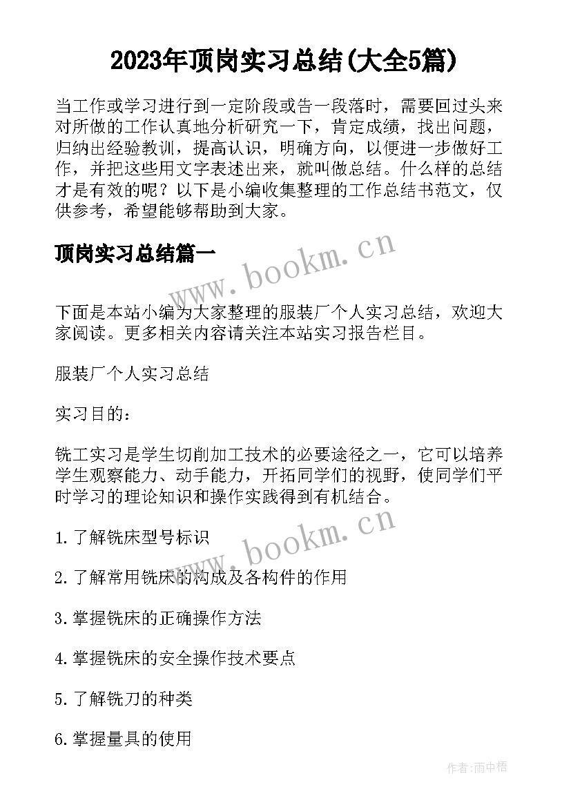 2023年顶岗实习总结(大全5篇)