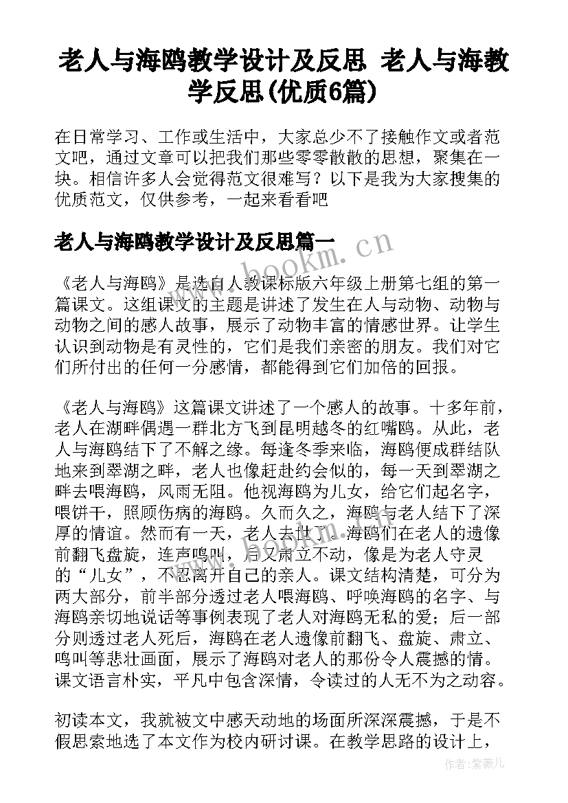 老人与海鸥教学设计及反思 老人与海教学反思(优质6篇)