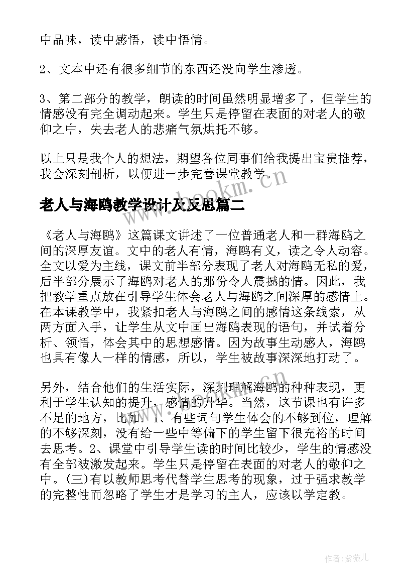 老人与海鸥教学设计及反思 老人与海教学反思(优质6篇)