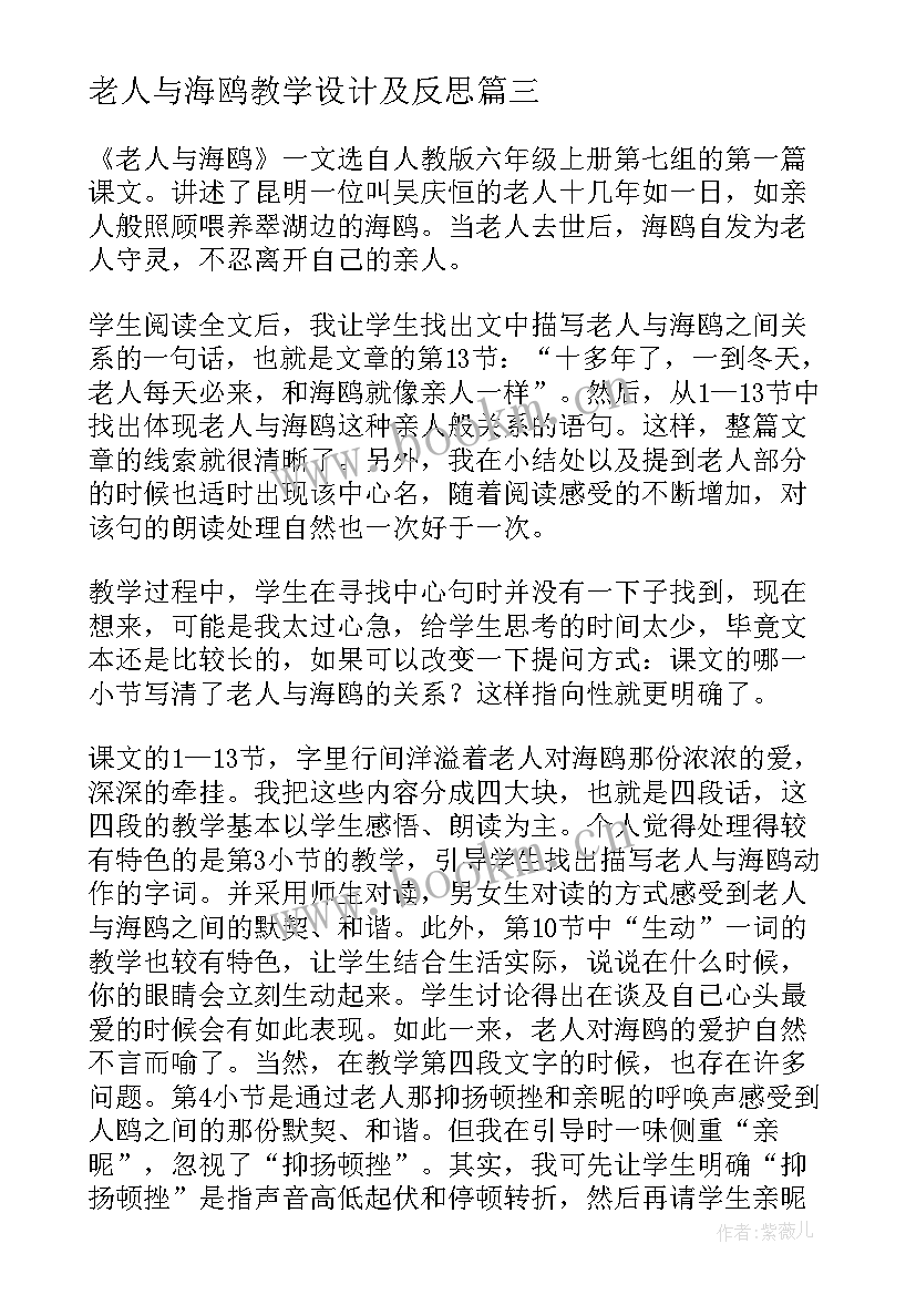 老人与海鸥教学设计及反思 老人与海教学反思(优质6篇)