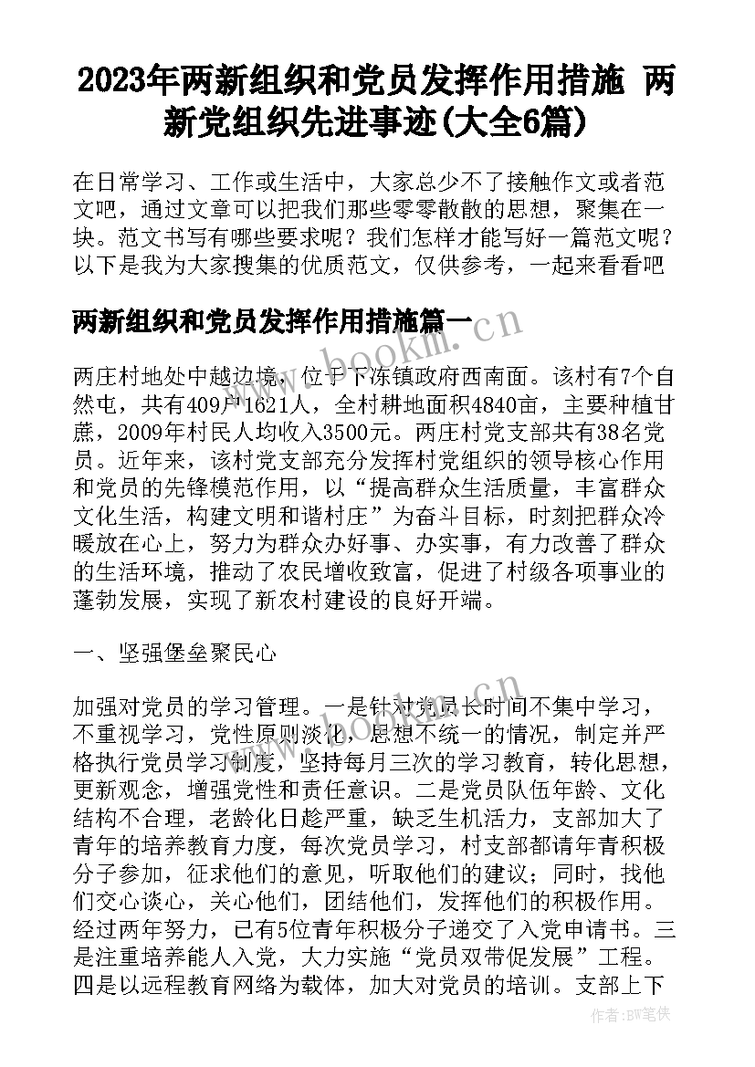 2023年两新组织和党员发挥作用措施 两新党组织先进事迹(大全6篇)