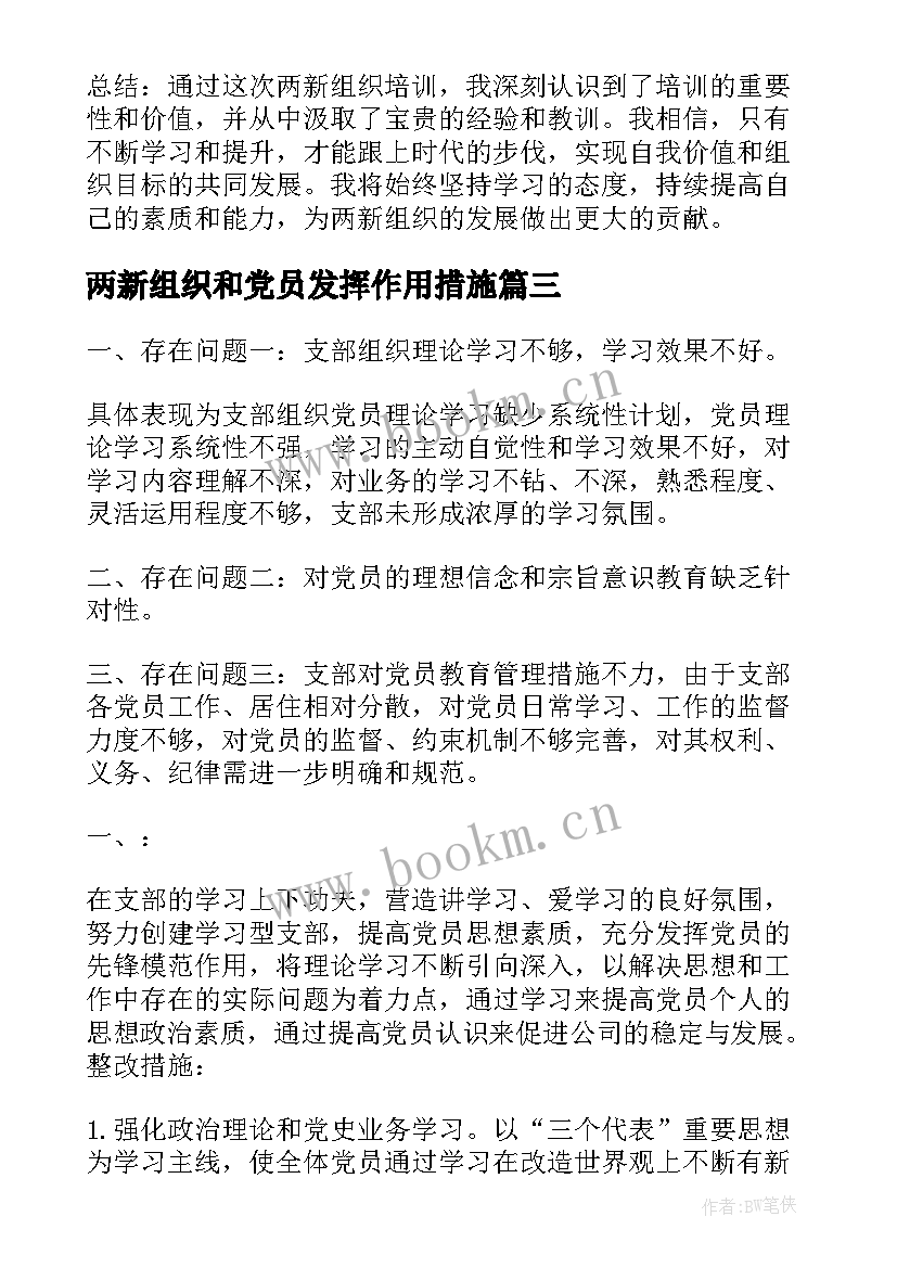 2023年两新组织和党员发挥作用措施 两新党组织先进事迹(大全6篇)