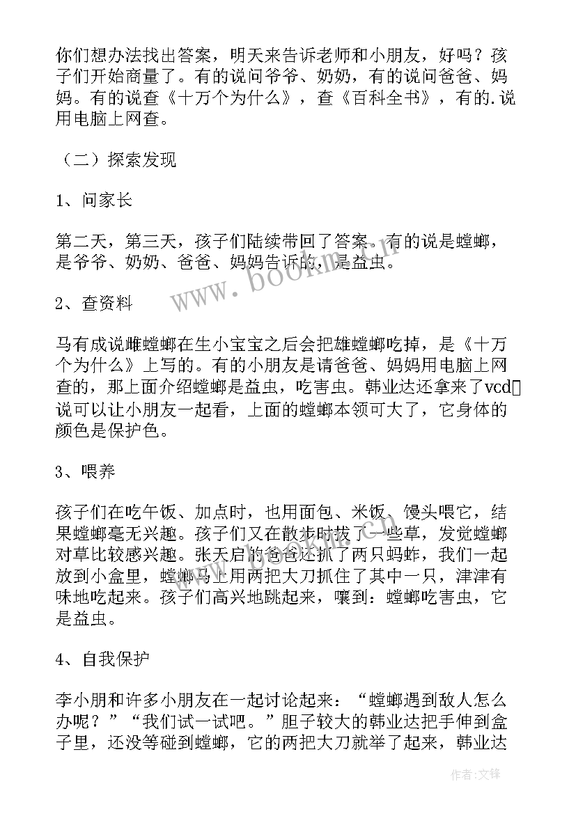 2023年小班活动鞋子真多教案及反思 幼儿园小班科学活动教案好看的鞋子含反思(优质5篇)