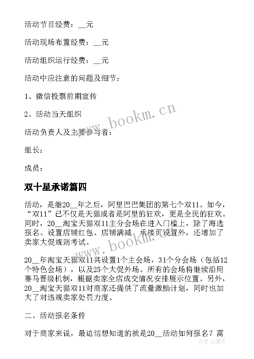 2023年双十星承诺 双十一活动方案策划(实用5篇)