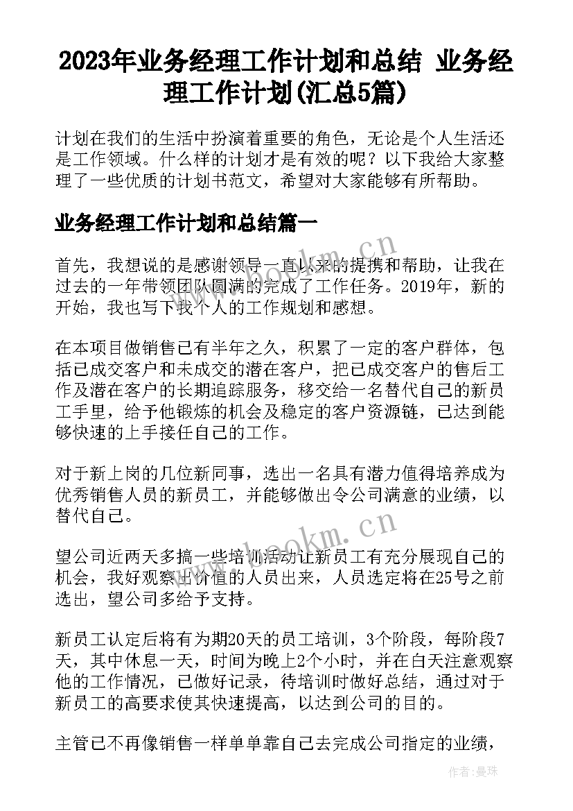 2023年业务经理工作计划和总结 业务经理工作计划(汇总5篇)