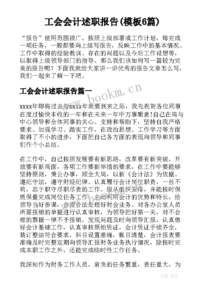 工会会计述职报告(模板6篇)