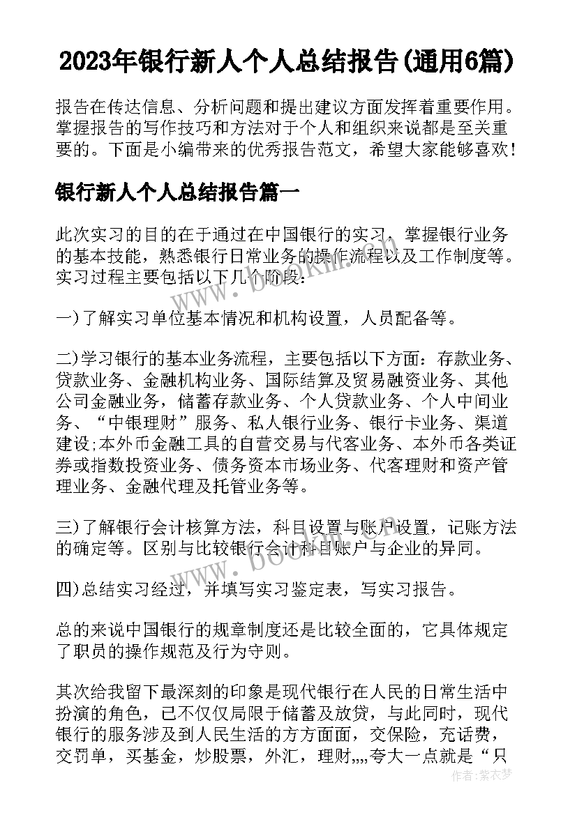 2023年银行新人个人总结报告(通用6篇)