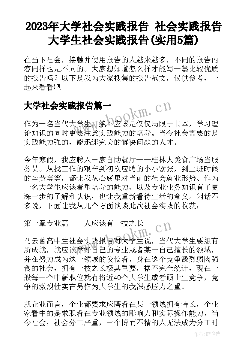 2023年大学社会实践报告 社会实践报告大学生社会实践报告(实用5篇)