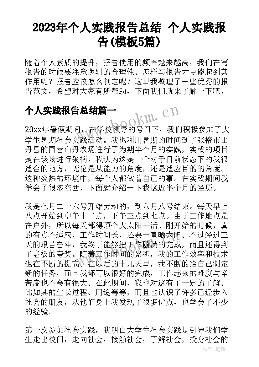 2023年个人实践报告总结 个人实践报告(模板5篇)