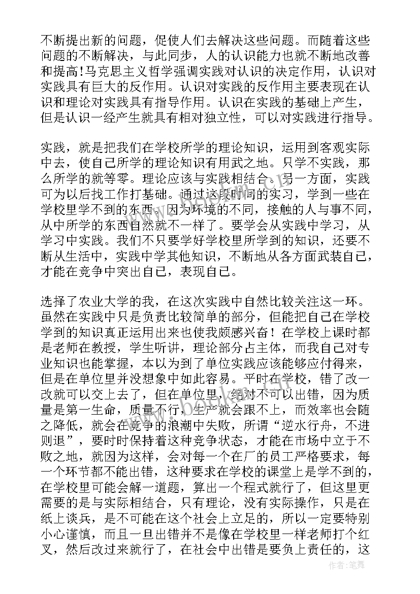 2023年个人实践报告总结 个人实践报告(模板5篇)