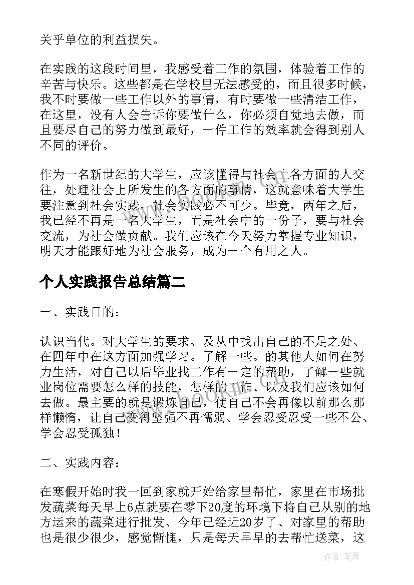 2023年个人实践报告总结 个人实践报告(模板5篇)